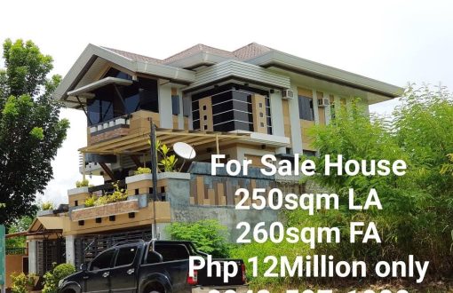 For Sale: 250sqm Lot Area, 260sqm Floor Area, 4 Car Park Gar...