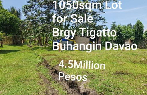 Vacant Lot For Sale in Tigatto Buhangin Davao City Fenced at...