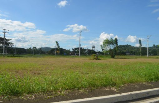 Residential Lot for Sale at Las Palmas Verdes Mandug, Buhang...