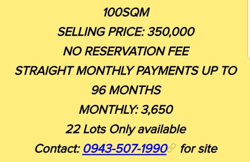 LOT FOR INSTALLMENT AT ISLAND GARDEN CITY OF SAMAL Refresh y...