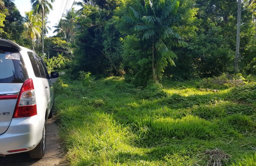 This Lot is for Sale! Along the cemented road, Bago Oshiero ...