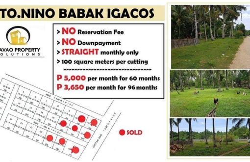 Invest in Lot Only! 
 Sto Nino Babak Island Garden City of S...