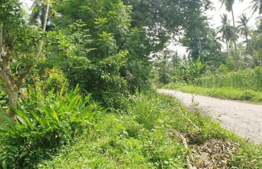 Bansalan Davao Del Sur might one of the place you might cons...