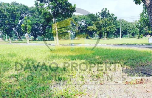 795sqm Lot in South Pacific Davao City
 Come home to South P...