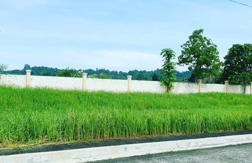 Lot for Sale at Las Palmas, Buhangin District Davao City
 Al...