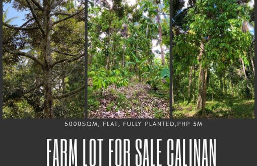 Farm Lot For Sale
 Calinan Davao City
 Fully Planted
 Lot Ar...