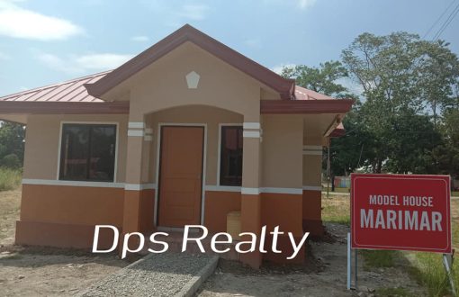 La Eldaria Panabo
 Marimar
 LA: 148; FA: 56; BR: 3; TB: 2
 1...