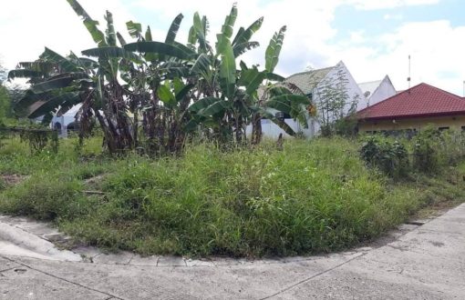 Residential Lot for Sale
 Cecelia Heights Cabantian Buhangin...