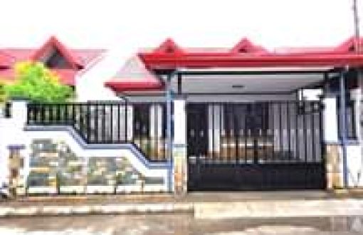 Image may contain: outdoor