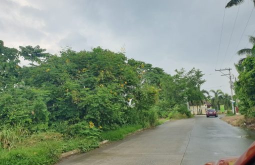 Still Available
 Location: 
 
