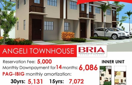 BRIA HOMES PANABO CITY: DUE TO INSISTENT DEMAND --- LIMITED ...