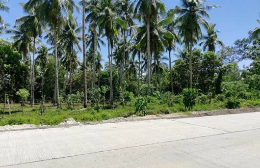 Promising property in Samal located at Babak. Next to Secdea...