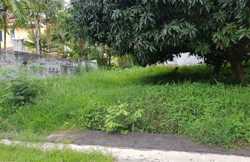 Residential Lot for Sale in Robinsons Highlands Buhangin Dav...